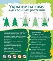 Укрытие зимнее для хвойных, 110*90 см, зеленое, без рисунка фото