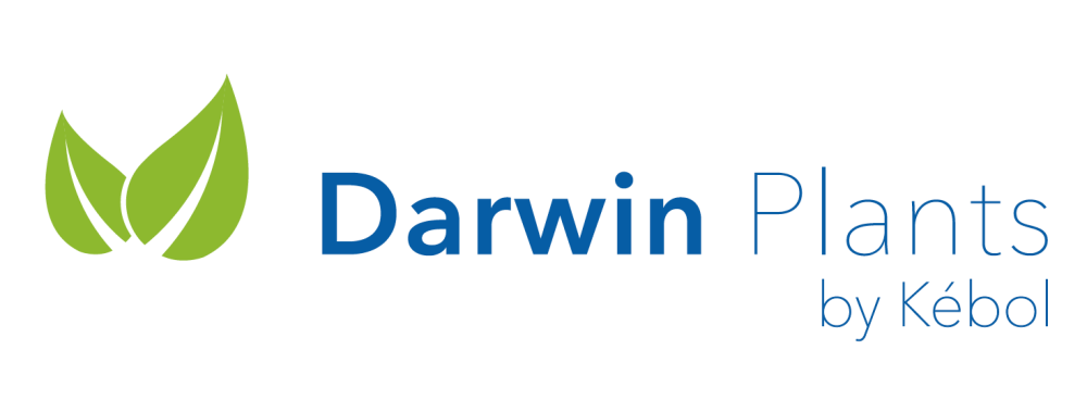 Darwin Plants (Голландия)