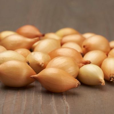 Лук-севок Купидо (10-21мм) фото