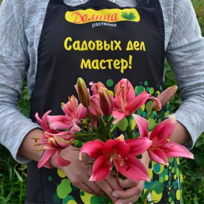 Лилия Чайлд Ин Тайм Лилия Чайлд Ин Тайм - Dolina-Sad.Ru