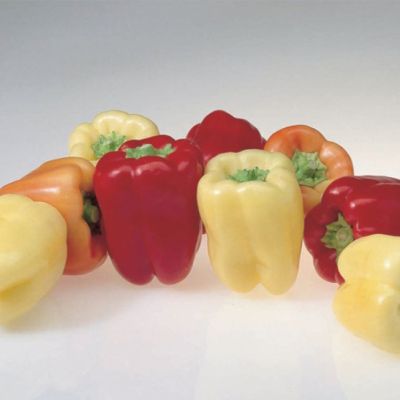 Перец Фламинго F1 (Clause/Франция) Перец Фламинго F1 (Clause/Франция) фото