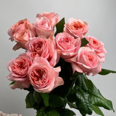 Роза Лондон Ай - Dolina-Sad.Ru