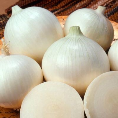 Лук репч. Ялтинский белый автор. Н16 Лук репч. Ялтинский белый автор. Н16 фото